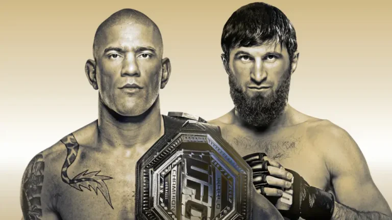 UFC 313